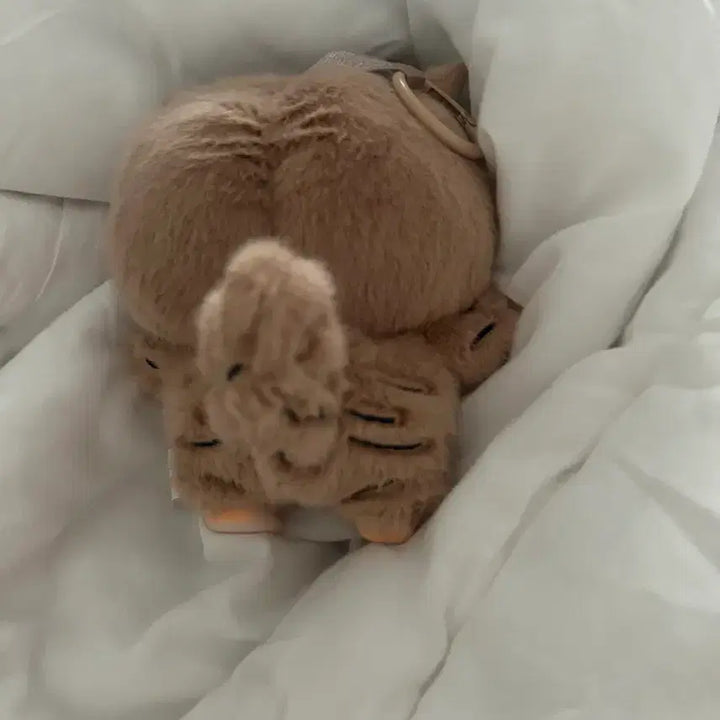 [BUNJANG] Naruto Gaara Nabubu Plush / 나루토 가아라 누이 나부부