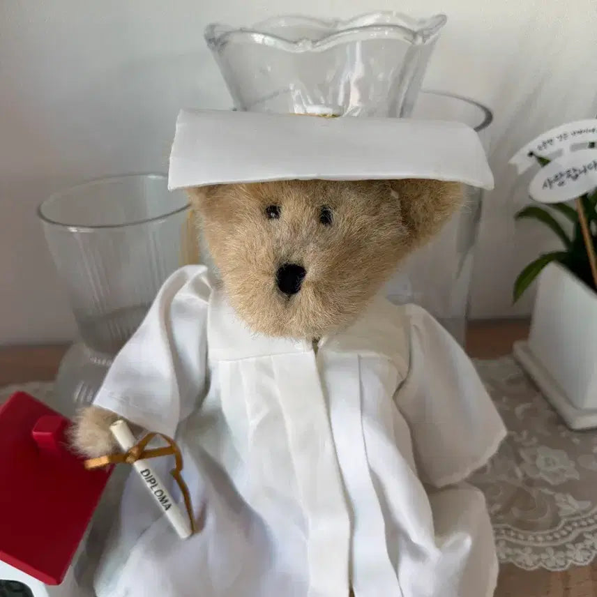 [BUNJANG] Graduation Boy Bear Doll / 졸업 보이즈베어 인형