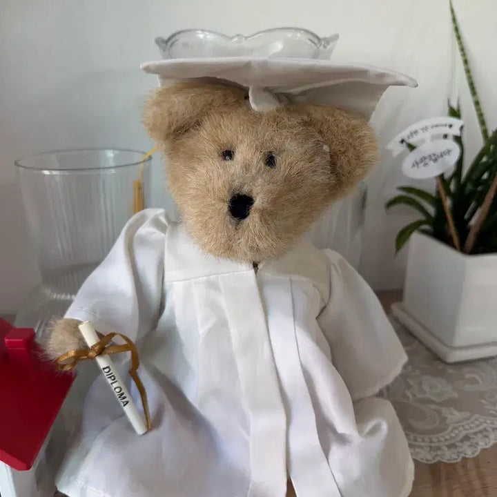 [BUNJANG] Graduation Boy Bear Doll / 졸업 보이즈베어 인형