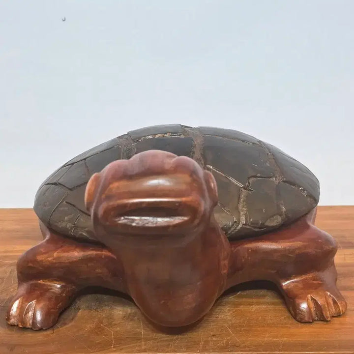 [BUNJANG] Large Chinese Turtle Shell Stone / 26062904 대형 중국 구갑 거북 수석 팝니다