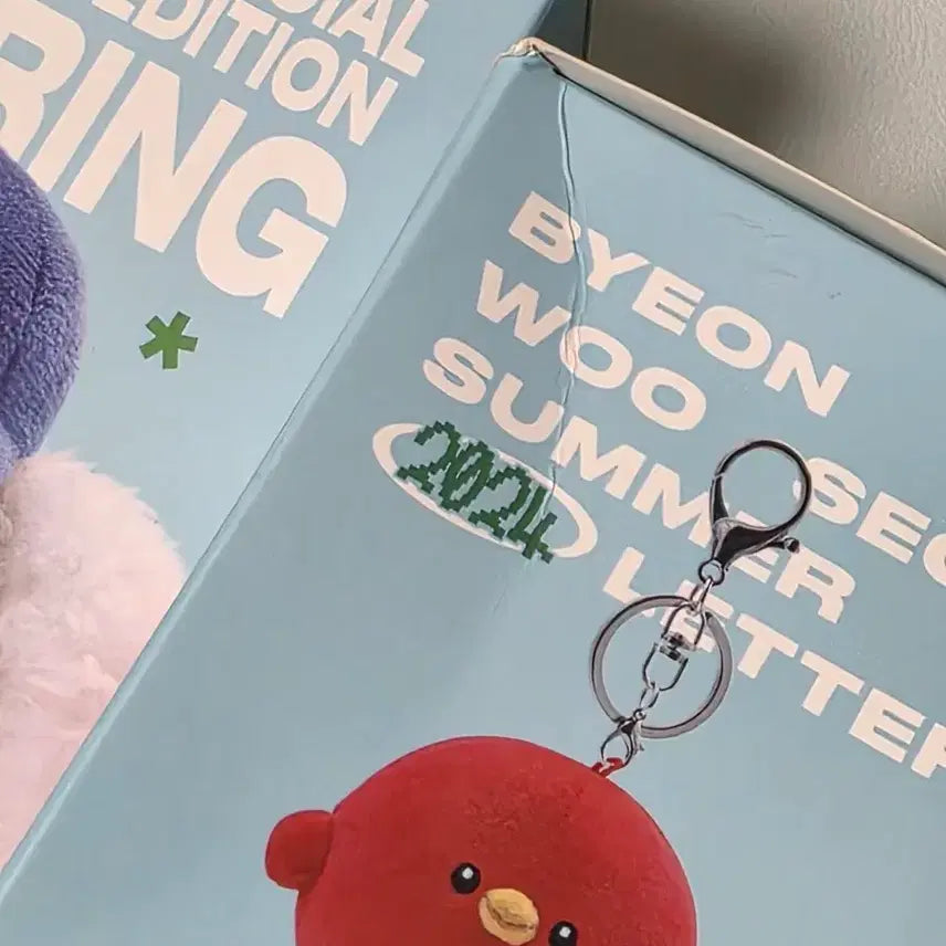 [BUNJANG] Byeon Woo Seok Doll Keychain (Box Creasing) / 변우석 인형 키링