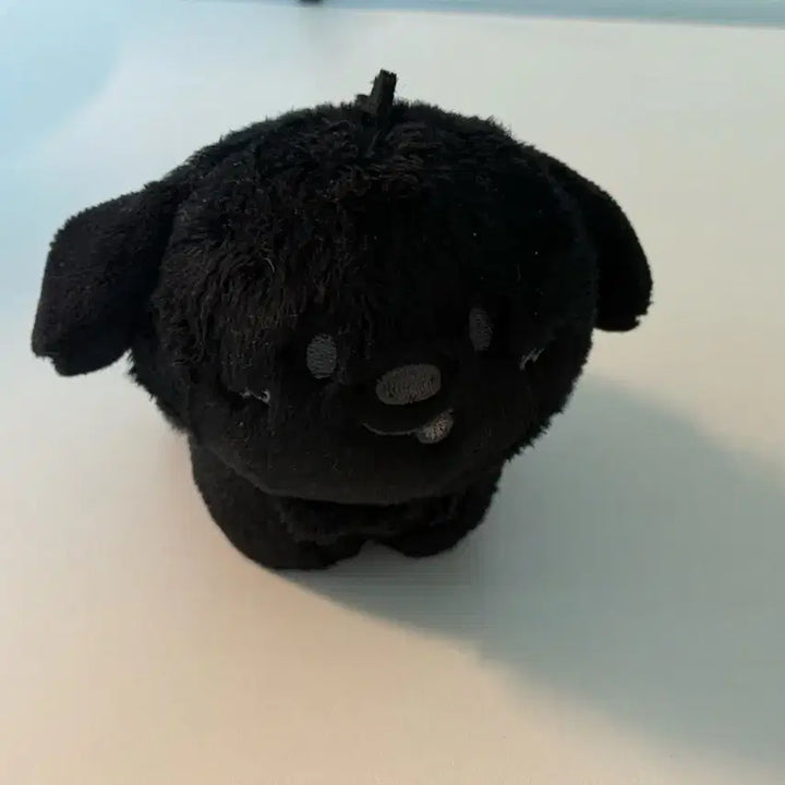 [BUNJANG] RIIZE Anton Dragon Plush Doll / 깜룡이 멍룡이 라이즈 앤톤 인형