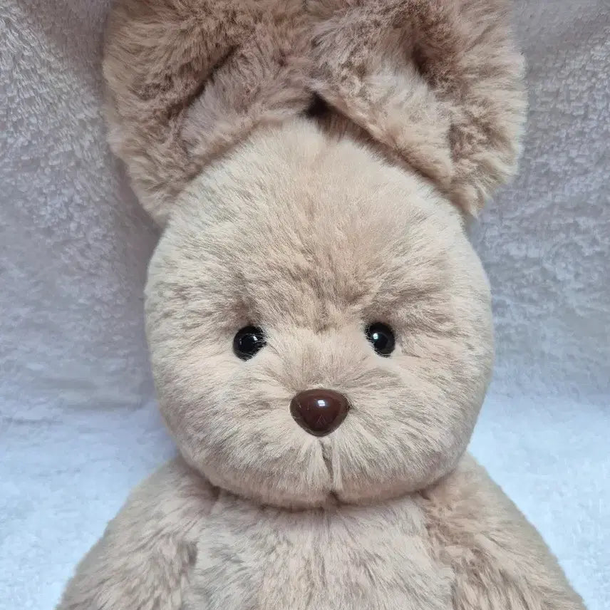 [BUNJANG] Teddy Tails Rena Bunny Toffeenut Latte Plush (M Size, 30cm) / (새상품)테디테일즈 레나버니 토피넛라떼 m사이즈 30cm