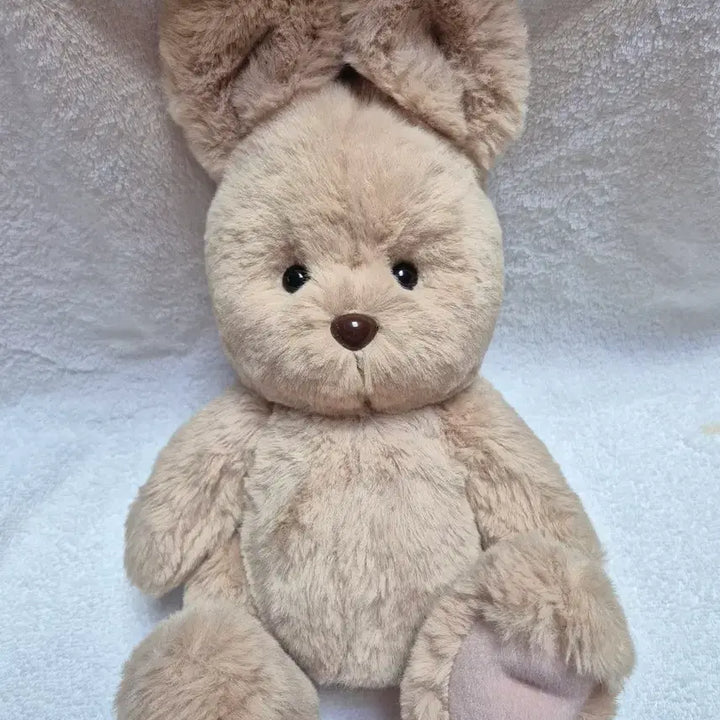 [BUNJANG] Teddy Tails Rena Bunny Toffeenut Latte Plush (M Size, 30cm) / (새상품)테디테일즈 레나버니 토피넛라떼 m사이즈 30cm