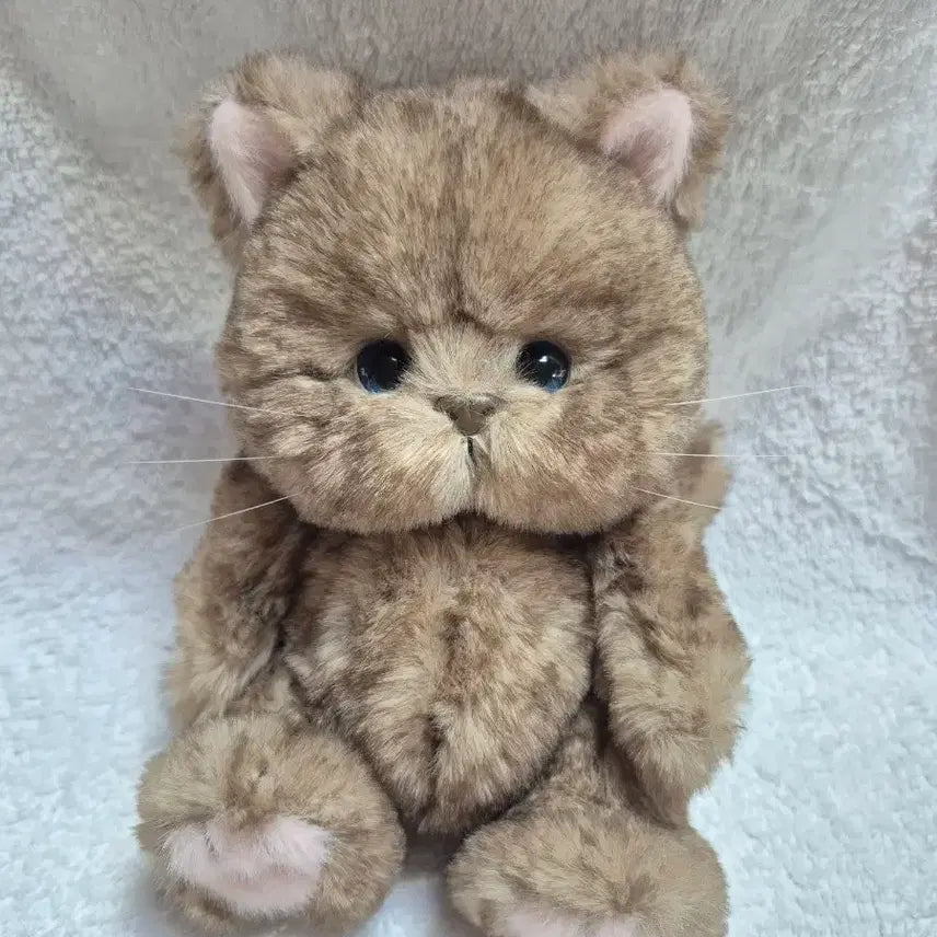 [BUNJANG] Teddy Tales Lena Cat 20cm Chocolate S Size / (새상품)테디테일즈 레나캣 초코 s사이즈 20cm