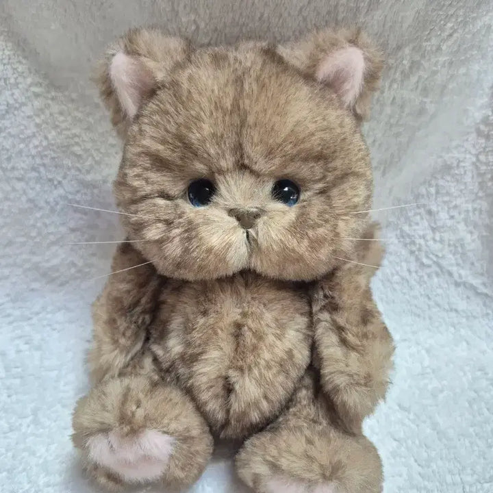 [BUNJANG] Teddy Tales Lena Cat 20cm Chocolate S Size / (새상품)테디테일즈 레나캣 초코 s사이즈 20cm