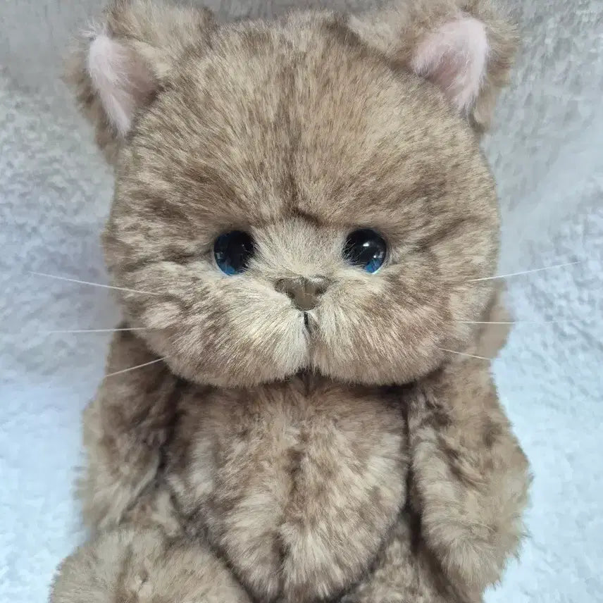 [BUNJANG] Teddy Tales Lena Cat 20cm Chocolate S Size / (새상품)테디테일즈 레나캣 초코 s사이즈 20cm