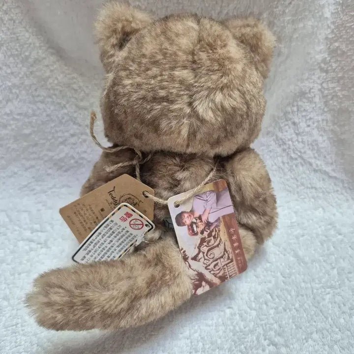 [BUNJANG] Teddy Tales Lena Cat 20cm Chocolate S Size / (새상품)테디테일즈 레나캣 초코 s사이즈 20cm