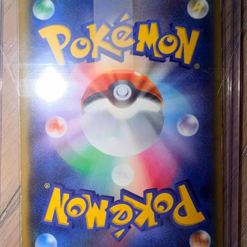 [BUNJANG] Pokemon Card Groudon EX (Japanese) / 포켓몬카드 그란돈 EX (일본판)