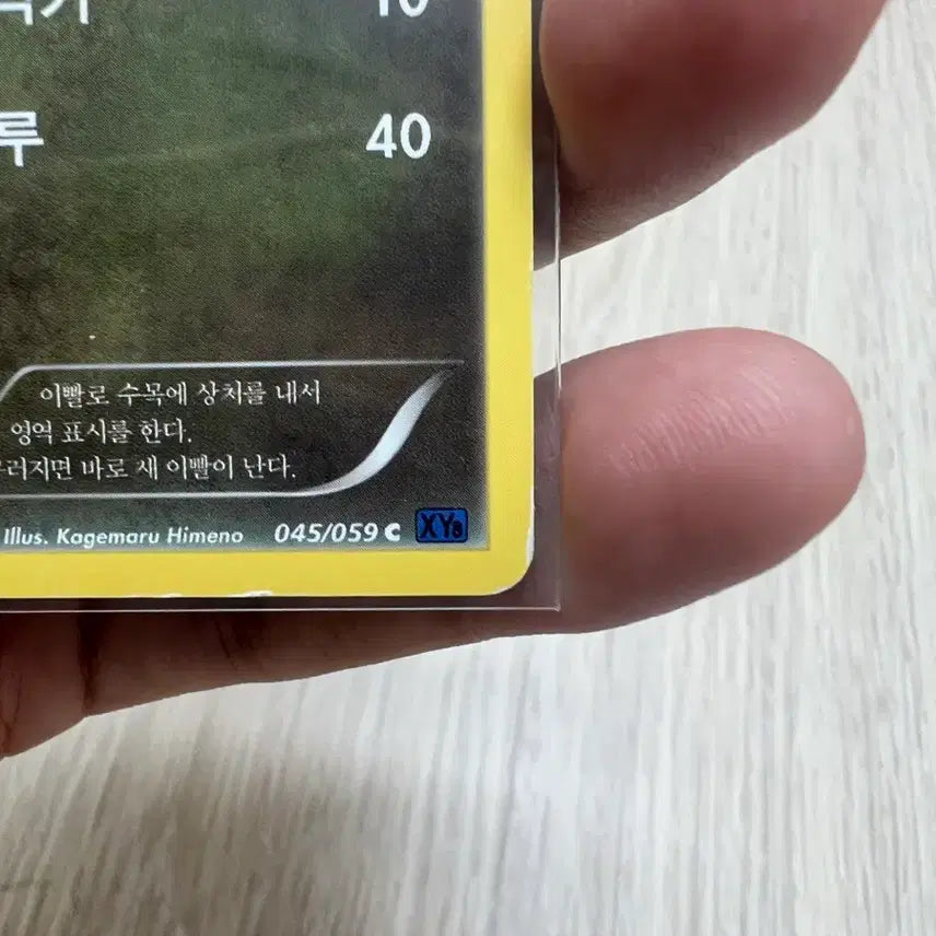 [BUNJANG] Pokemon Card Torkoal 045/059 (2015) / 포켓몬카드 터검니 045/059 2015년