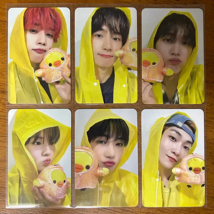 [BUNJANG] THE BOYZ a;effect Sunwoo Hyunjae Q New Kevin Jacob Photocard Bundle Set / 더보이즈 THE BOYZ a;effect 선우 현재 큐 뉴 케빈 제이콥