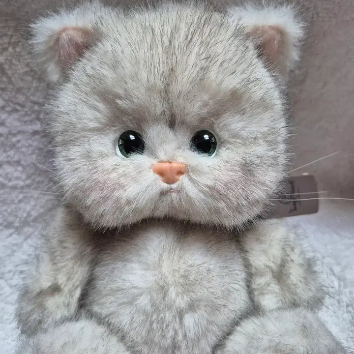 [BUNJANG] Teddy Tales Rena Cat Dandelion 20cm Plush (New) / (새상품)테디테일즈 레나캣 민들레 s사이즈 20cm