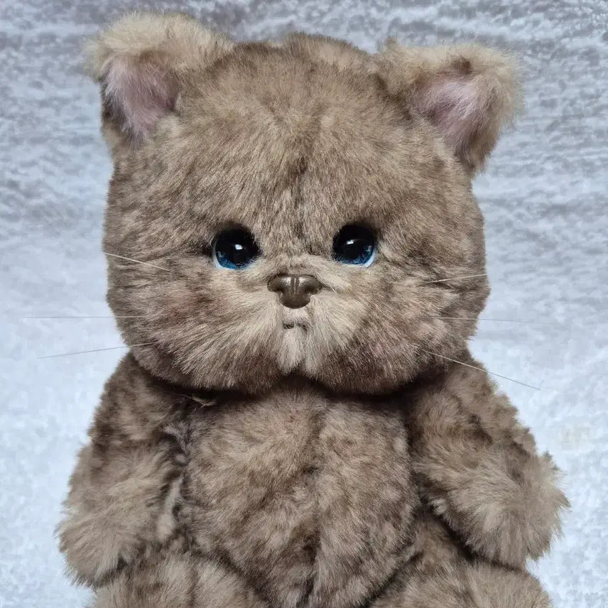 [BUNJANG] Teddy Tails Rena Cat Choco 20cm Plush Doll / (새상품)테디테일즈 레나캣 초코 s사이즈 20cm