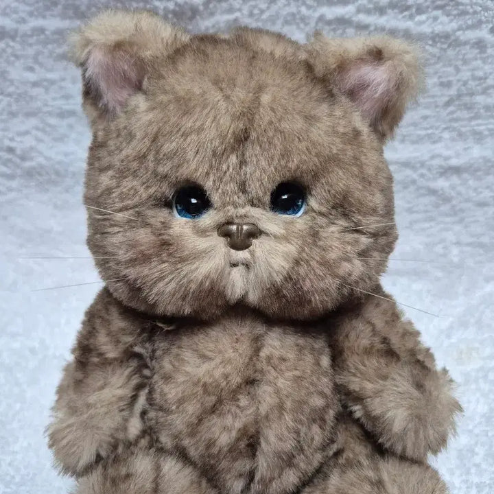 [BUNJANG] Teddy Tails Rena Cat Choco 20cm Plush Doll / (새상품)테디테일즈 레나캣 초코 s사이즈 20cm