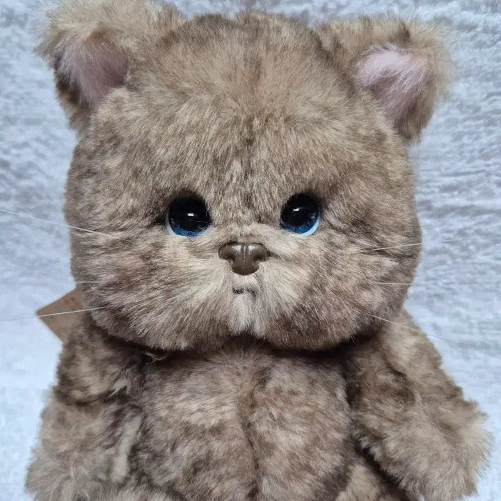 [BUNJANG] Teddy Tails Rena Cat Choco 20cm Plush Doll / (새상품)테디테일즈 레나캣 초코 s사이즈 20cm