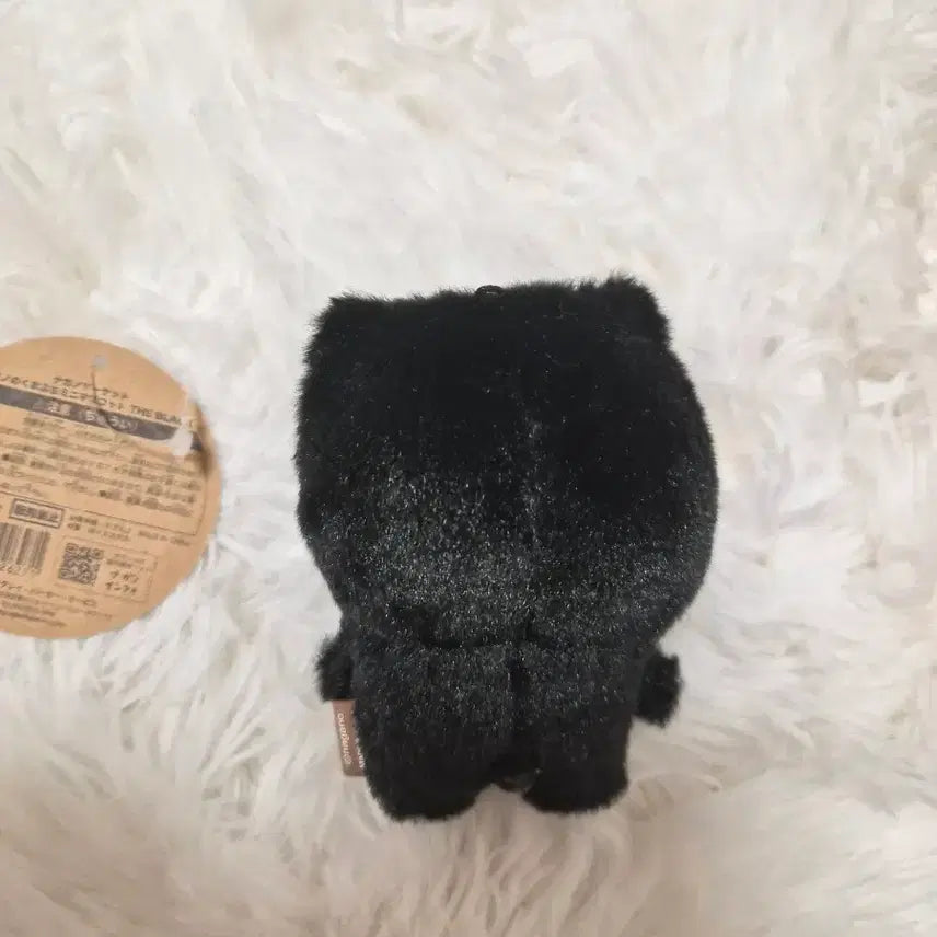 [BUNJANG] Black Teddy Bear Plush / 흑담곰 (흑색 농담곰) 판매합니다.