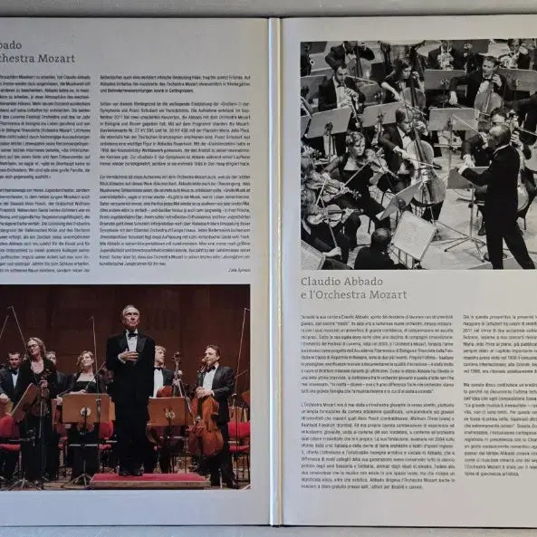 [BUNJANG] Claudio Abbado Orchestra Mozart Schubert Symphony No. 9 "The Great" 2LP (DG, 180g) / 아바도 - 슈베르트 교향곡 9번 그레이트 2LP (DG. 180g)