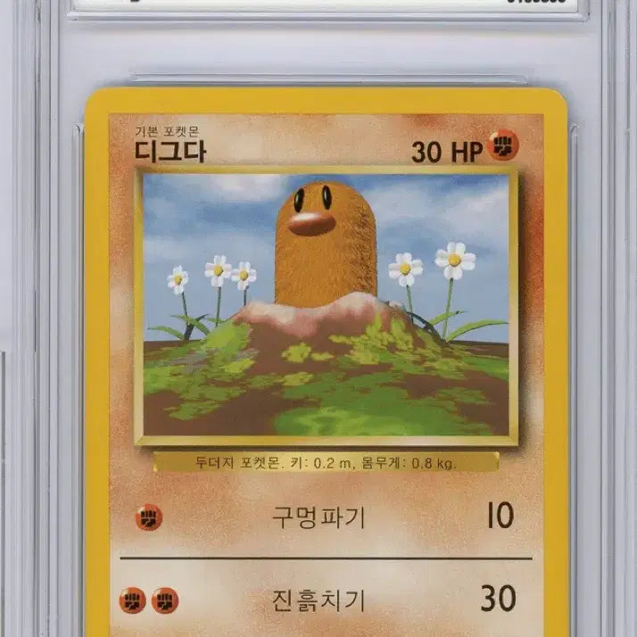 [BUNJANG] Pokemon Korean First Edition Base Set Graded Card (BRG 9) / 포켓몬 한글초판카드