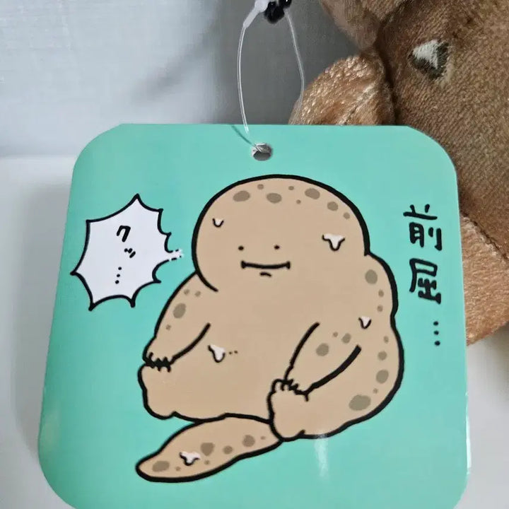 [BUNJANG] Nagano Aquarium Newt Plush Mascot Keychain / 나가노 수족관 도롱뇽 인형 누이 마스코트 키링
