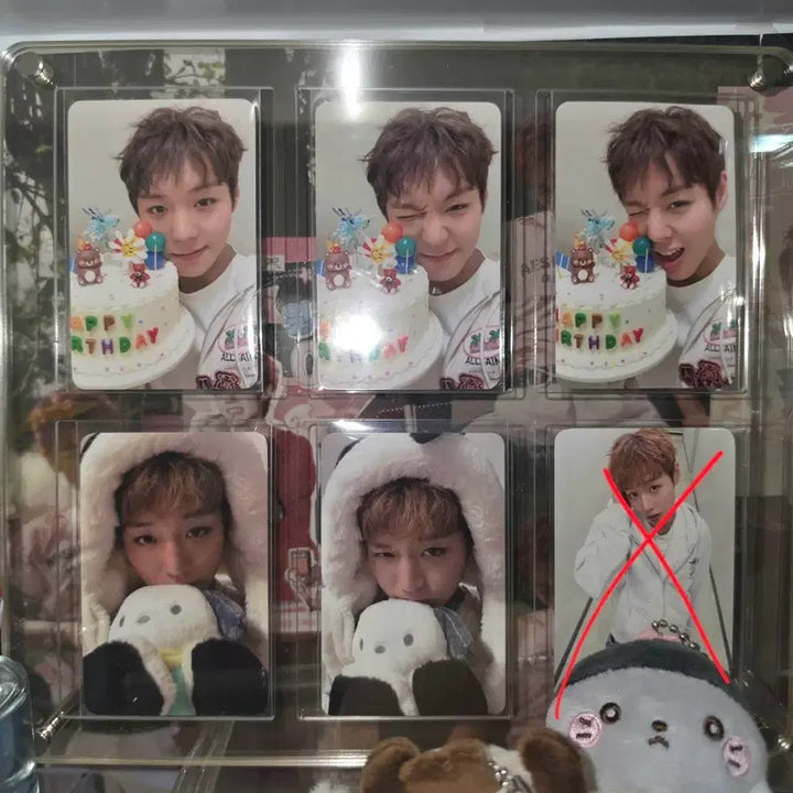 [BUNJANG] Park Jihoon Bundle Set Photocard (Huniday, Pochacco, Emotion Doll, Ribbon Heart) / 박지훈 포카(후니데이, 포차코,  감정인형, 리본하트)일괄