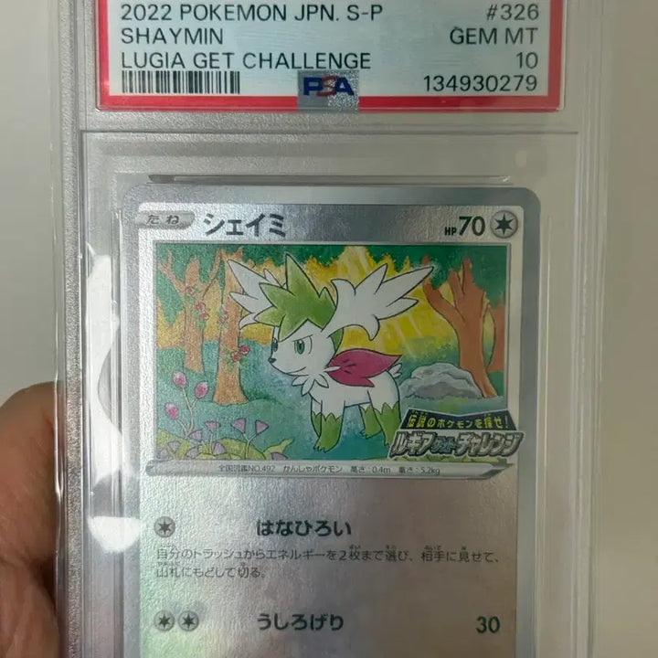 [BUNJANG] Pokemon Card Shaymin Promo PSA 10 / 포켓몬카드 셰이미 프로모 psa10