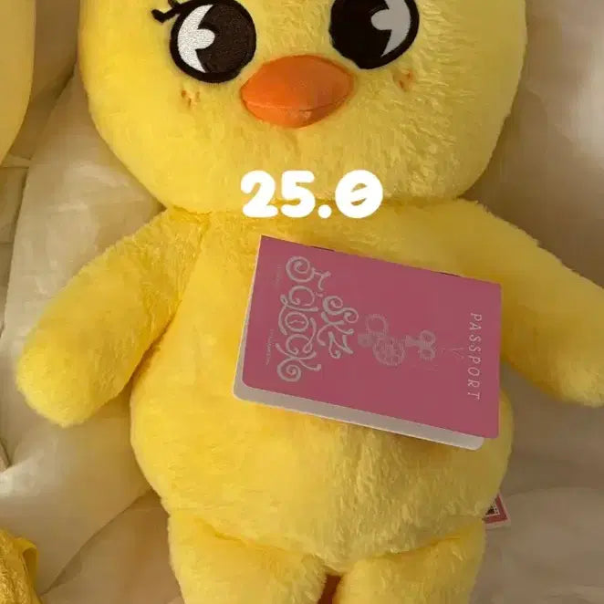 [BUNJANG] Stray Kids Bbokari Teddy Bear / 스키즈 뽁아리 테디베어