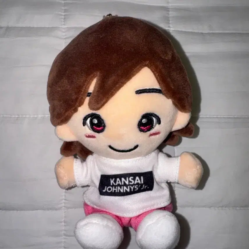 [BUNJANG] Naniwa Danshi Michieda Shunsuke Chibi Plush / 급처) 나니와단기 미치에다 슌스케 치비누이