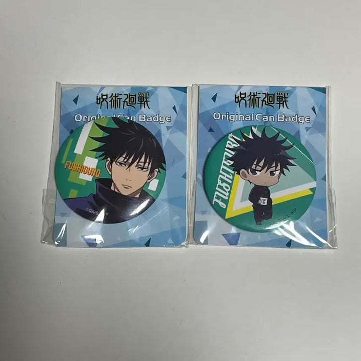 [BUNJANG] Jujutsu Kaisen Fushiguro Megumi 2-Type Pin Badge Bundle Set / 주술회전 후시구로 메구미 캔뱃지 2종 일괄