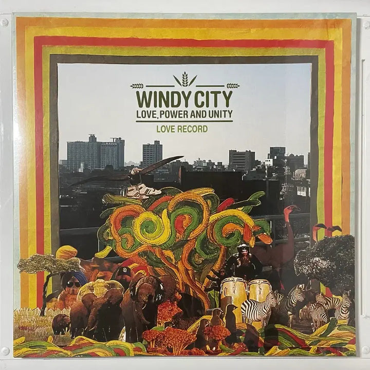 [BUNJANG] Windy City LP/CD &amp; Asoto Union CD Bundle Set / 윈디시티 &amp; 아소토 유니온 LP/CD