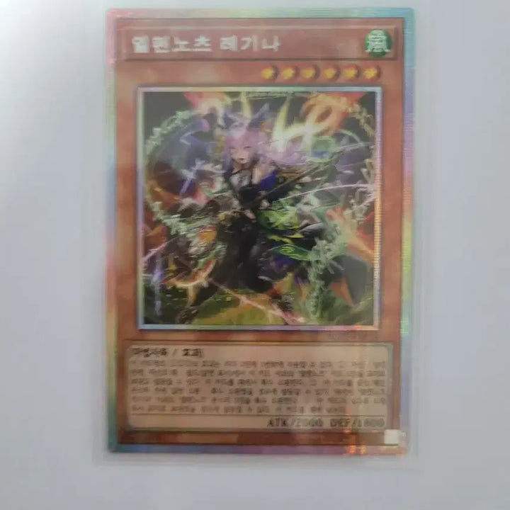 [BUNJANG] Yu-Gi-Oh! Elfenotes Regina French Sieglinde / 유희왕 엘펜노츠 레기나 프싴