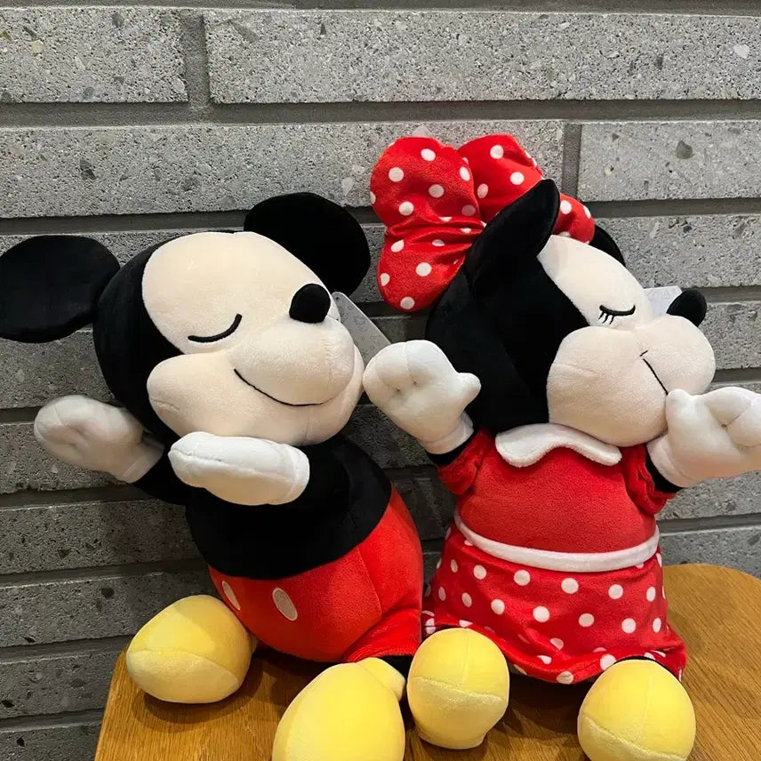 [BUNJANG] Hugduck Large Plush 45cm / (새제품, 정품,택)  허그덕 대형인형 45cm