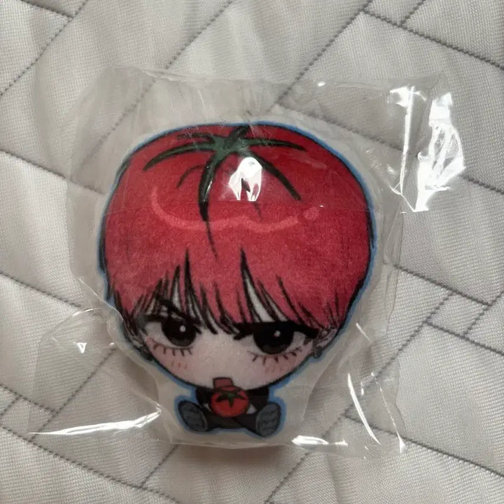 [BUNJANG] BOYNEXTDOOR Taesan Cushion Keyring (Sealed) / 미개봉)보넥도 태산 태마태 삑삑이 쿠션키링 양도
