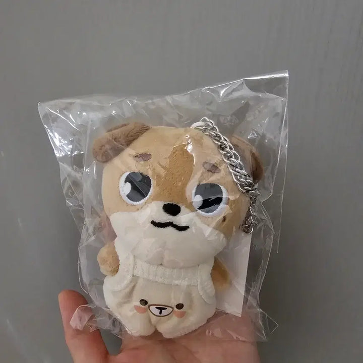 [BUNJANG] Day6 Dowoon Charm Keychain / 데이식스 일본md 도운 백참 키링 새상품