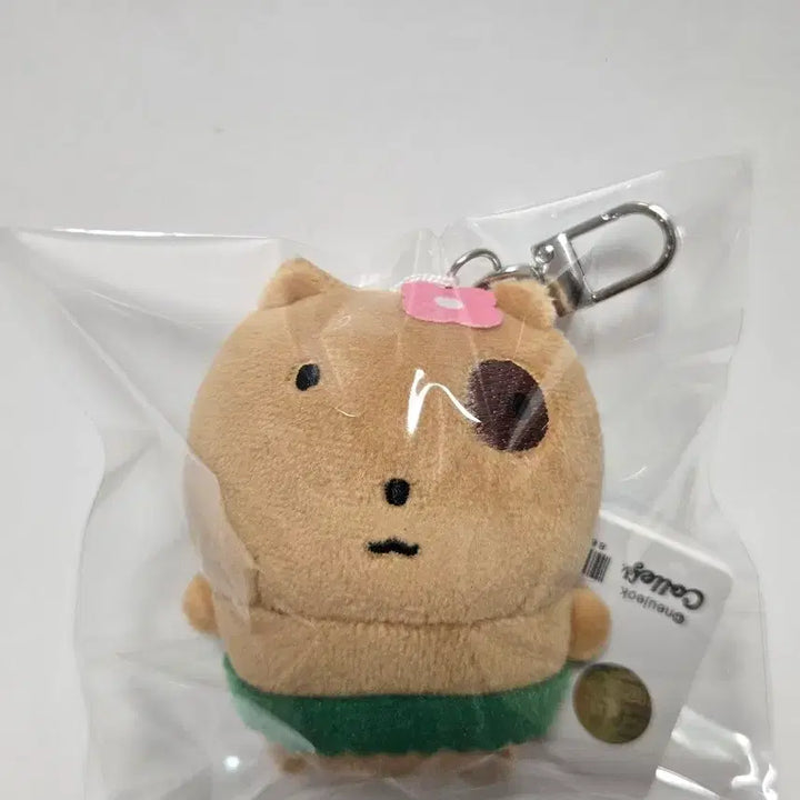[BUNJANG] Nunnuni Tanning Keychain Plush / [새상품] 눈멍냥이 태닝 눈멍이 키링 인형