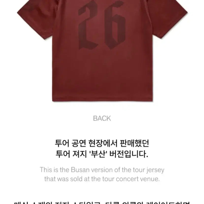 [BUNJANG] BTS World Tour ARIRANG Jersey / BTS 방탄소년단 월드 투어 아리랑 투어 져지 저지 티 부산 Busan