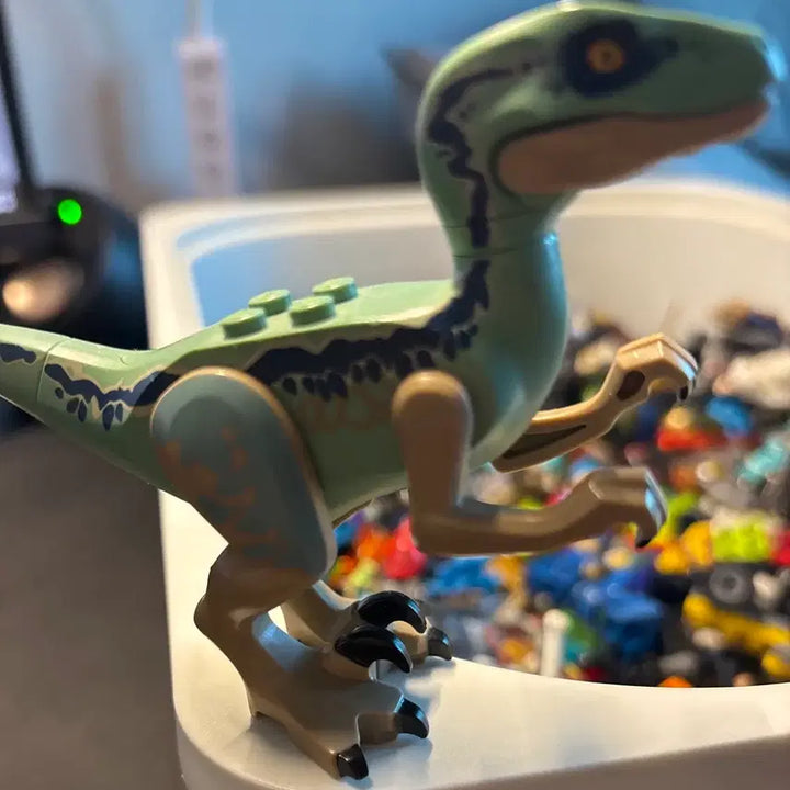 [BUNJANG] LEGO Jurassic World Velociraptor (Blue) / 레고 쥬라기월드 벨로시랩터(블루)