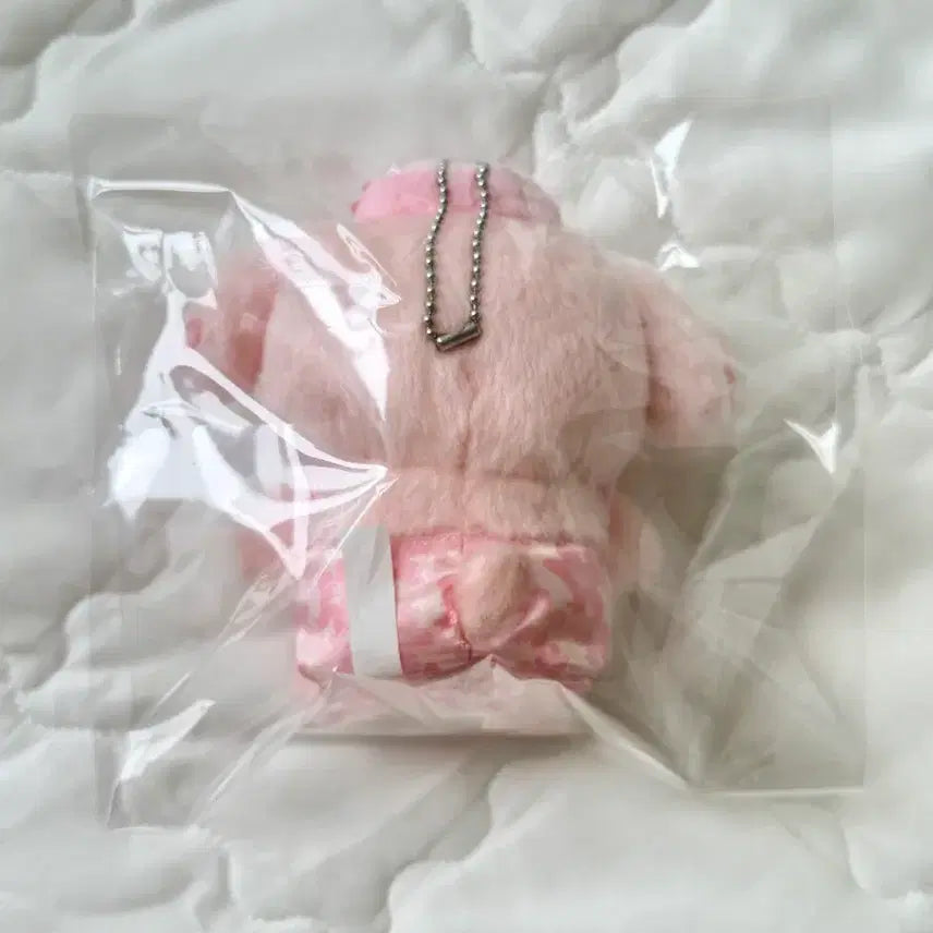 [BUNJANG] Sanrio 2023 Cherry Blossom Limited Pompompurin Mascot / 산리오 2023 벚꽃한정 폼폼푸린 마스코트