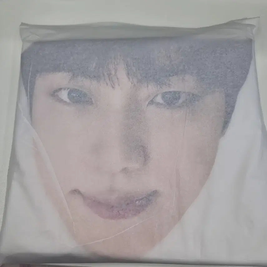 [BUNJANG] BTS Jin Run Jin Raincoat / bts진 달려라석진 고양 런석진 우비