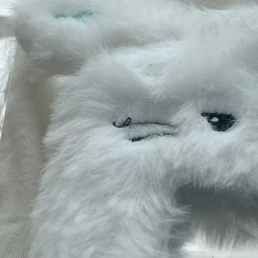 [BUNJANG] X-clusive Jeongsu Nyangdu Photocard Binder / 원가이하) 엑디즈 정수 냥듀 포카 바인더