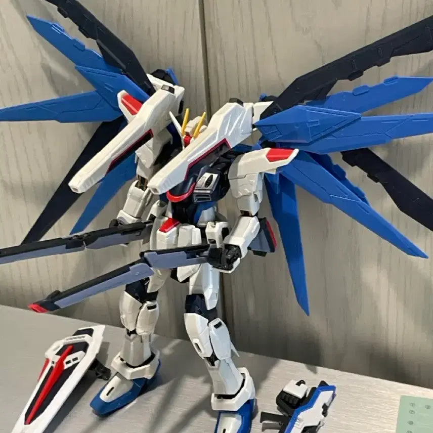 [BUNJANG] RG Freedom Gundam / 건담 rg 프리덤 판매(여름 세일)