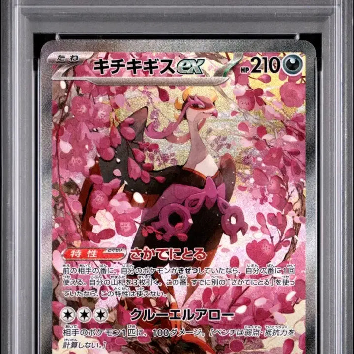 [BUNJANG] Girochi SAR PSA 10 Graded Card / 기로치sar psa10팔아요!!!