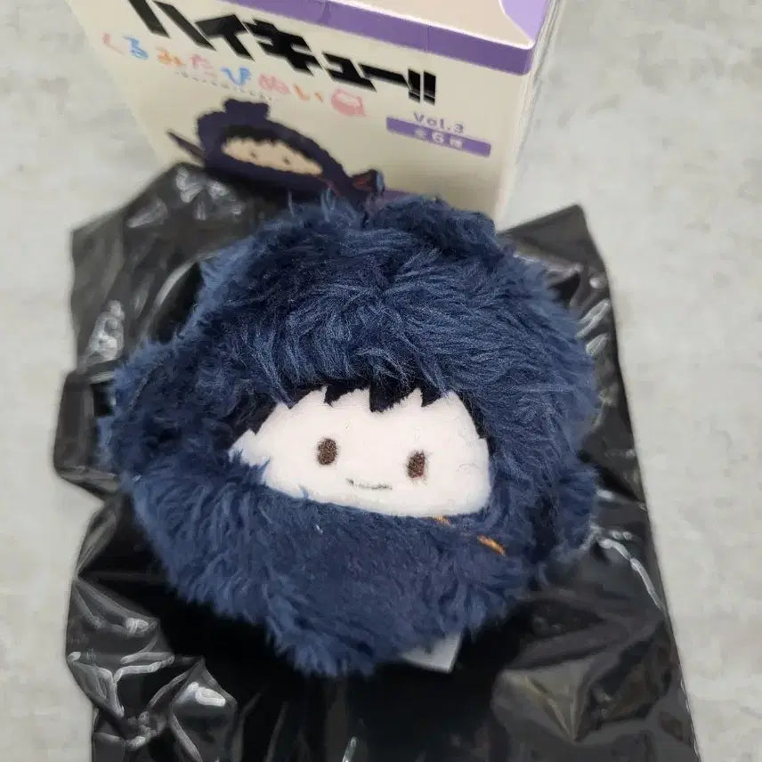 [BUNJANG] Haikyuu!! Daichi Sawamura Tapii Nui Plush / 하이큐 쿠루미타피누이 사와무라 다이치 미사용 양도