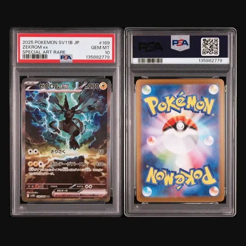 [BUNJANG] Reshiram SAR PSA 10 Japanese Edition / 제크로무 sar psa10 일판 판 및 교