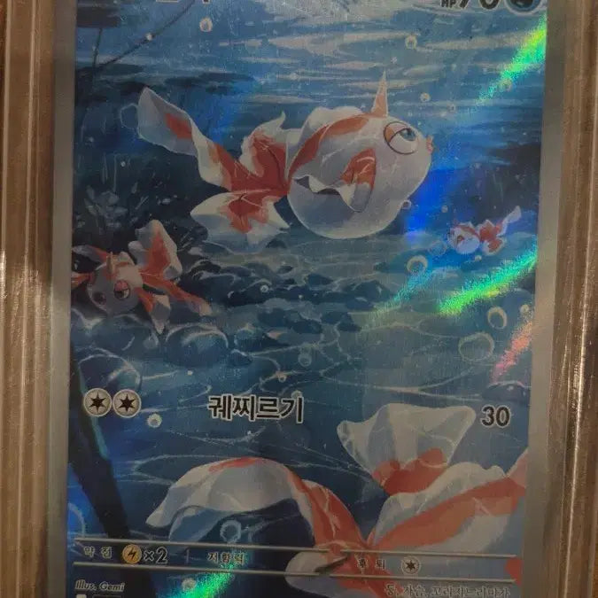 [BUNJANG] Pokemon Card Konchi AR Graded Card / 포켓몬카드 콘치 ar