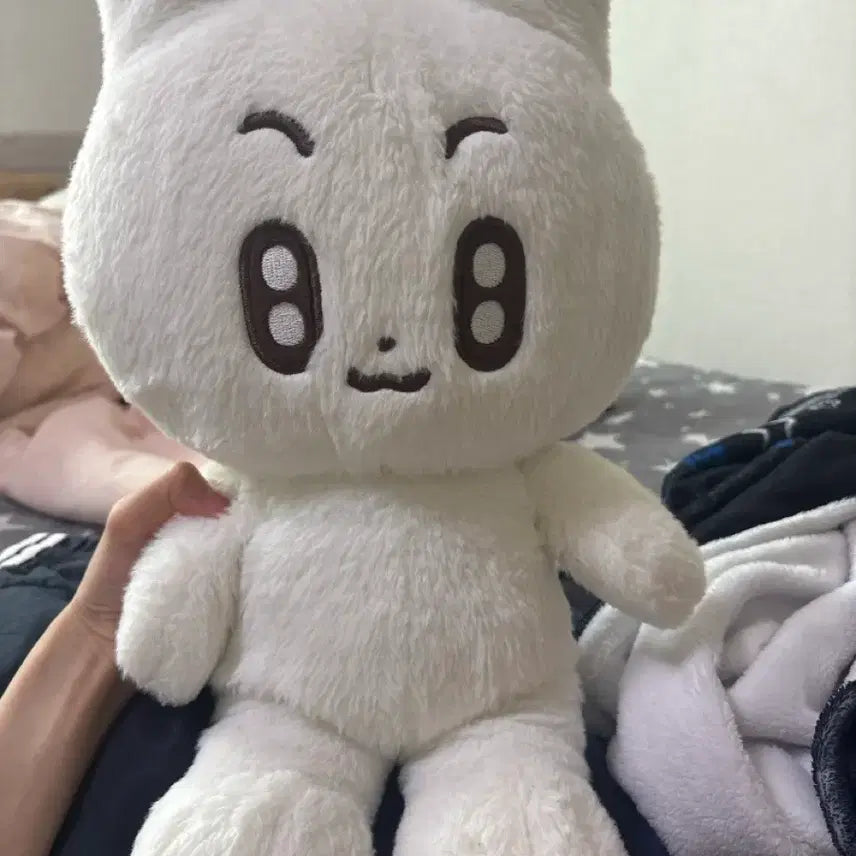 [BUNJANG] TXT Bapbat-tu Beanie Doll Choi Soobin / 급처 투바투 뽀바투 왕바투 왕비니 인형 최수빈