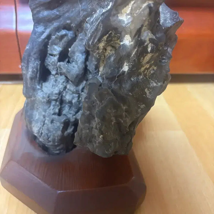 [BUNJANG] Libyan Large Petrified Wood Fossil (4.9kg) with Stand / 리비아 대형 규화목(나무화석) 4.9kg 받침대 포함