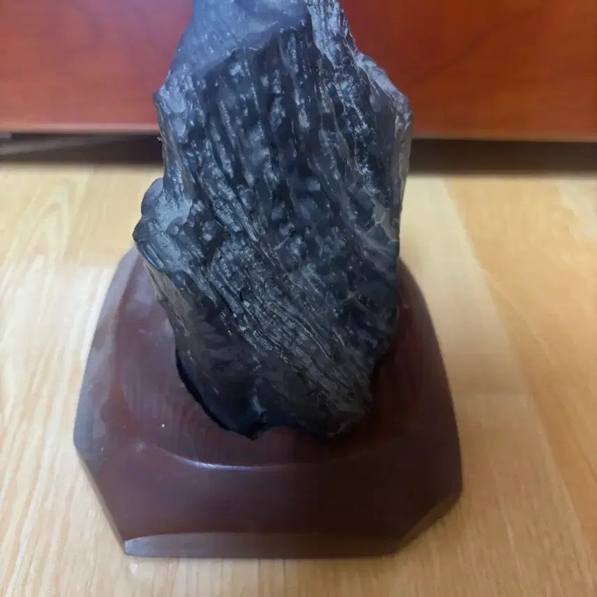 [BUNJANG] Libyan Petrified Wood Fossil (1.8kg) with Stand / 리비아 규화목(나무화석) 1.8kg / 받침대 포함