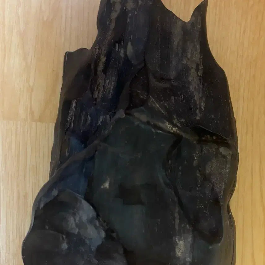 [BUNJANG] Libyan Petrified Wood Fossil (2kg) / 리비아 규화목(나무화석) 2kg
