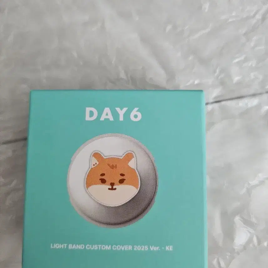 [BUNJANG] Day6 Lightband Custom Cover 2025 / 데이식스 라이트밴드 커스텀 커버 2025 케