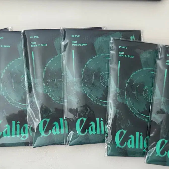 [BUNJANG] PLAVE Calligo Pt.1 Photocard Album (Sealed) / 플레이브 칼리고 Pt.1 포카앨범 미개봉